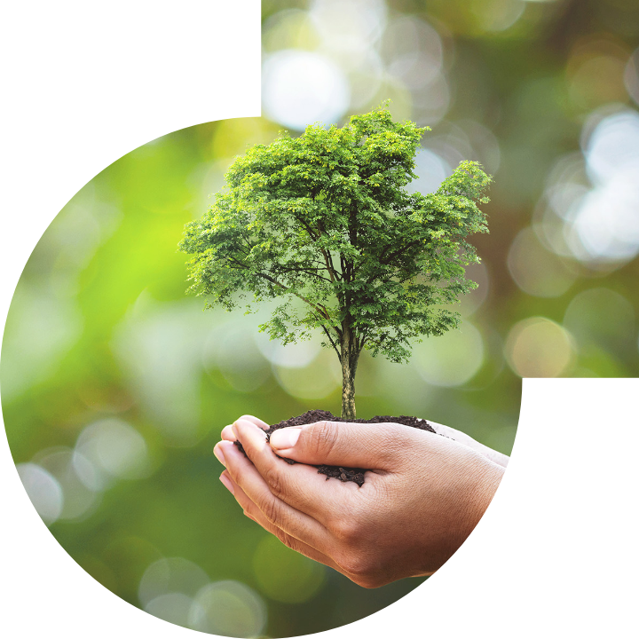 �P��������Ļ����h���c���