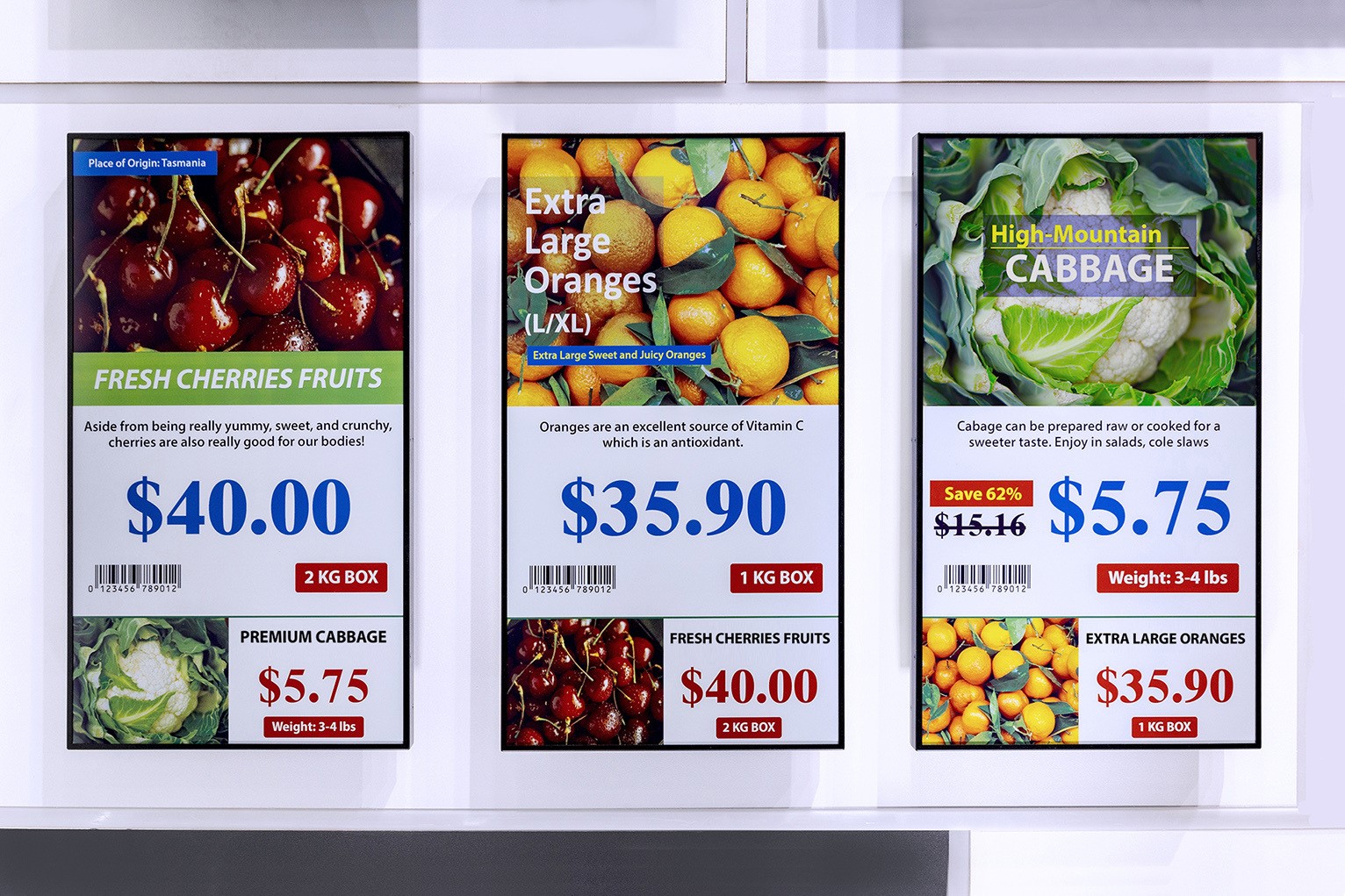 �_���cԪ̫�M�������Y��˾�����������Ӽ�ģ�M���a������չ��̼�D�������@ʾ�����̙C