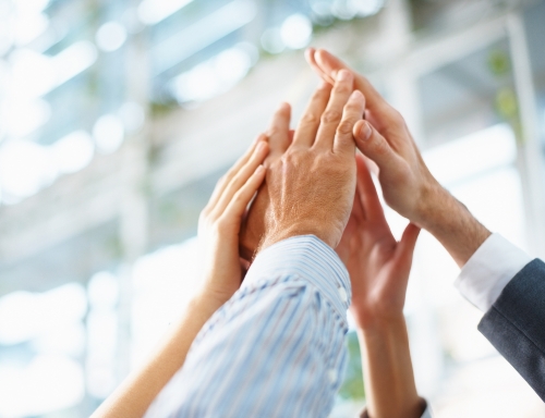 ��˾����